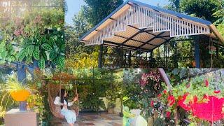 My Pergola Tour  / pergolas were designed to add shade to your garden/ House plants