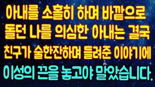 밖으로 돌던 남편에게 아내의 충격적 반전복수 - 라디오드라마 사연읽어주는남자 442사연