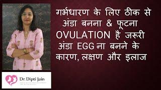 गर्भधारण के लिए ठीक से अंडा बनना & फूटना OVULATION है  जरूरी / अंडा ना बनने के कारण , लक्षण और इलाज