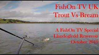 FishOn TV UK.  TROUT Vs BREAM.  A FishOn TV Special.  Llandegfedd Reservoir, October 2019