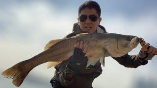 Seabass - Hong Kong Lure Fishing