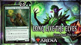  Elf Tribal | MTG Arena Foundations Deck Guide