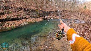 Fly fishing for WILD TROUT in the winter! (Trout fishing)