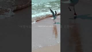 부산 감성여행, 이 장면은 잊을 수 없어  #여행 #부산여행 #감성여행