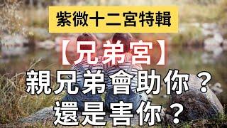 紫微十二宮之【兄弟宮】看親兄弟是助你？還是害你？麥可大叔30年紫微斗數算命命理老師