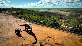 Destination Australia - Step Back in time at Mt  Isa & Winton