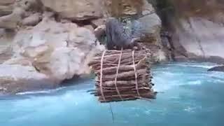 A brave woman crossing the river with the help of rope