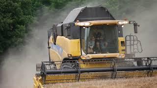 Moisson avec une CX 8070 dans le blé chez l'ETA LE LEON secteur GONNIN-DURIS Chasseneuil (16)