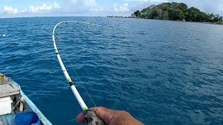 TERLIHAT JELAS IKAN TREVALLY MENYAMBAR UMPAN HIDUP.