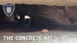 The Concrete Kit