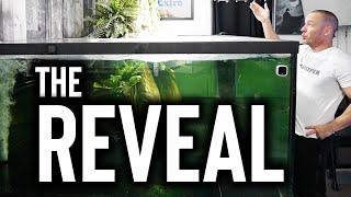 The 700 Gallon monster aquarium reveal!! The king of DIY dream fish tank!