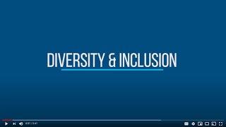 Silberman Law PC Diversity & Inclusion