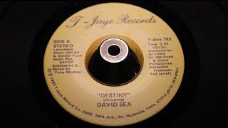 David Sea ‎– Destiny   T Jaye Records ‎– T Jaye 783