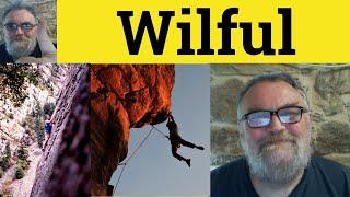  Willful Meaning - Wilful Defined - Willful Examples - Wilful Definition - Willful Wilful