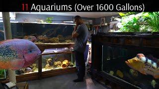 All Of My Fish Tanks Freshwater & Saltwater...Over 1600 Gallons