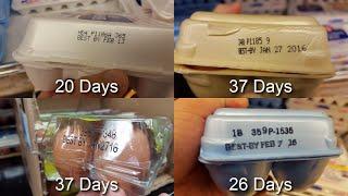 EXPOSED! How OLD are Store Bought Eggs?!?