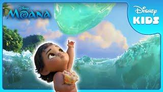 Baby Moana Explores the Ocean  | Moana | Disney Kids