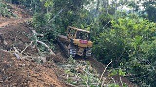 Efficient Land Clearing for Oil Palm Plantations with the D6R XL Bulldozer