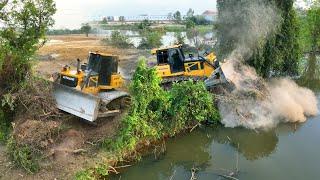 Bulldozer SHANTUI Clearing Land And Fores Tree With DumpTruck TRAGO DONGFENG HYUNDAI 25TON Unloading