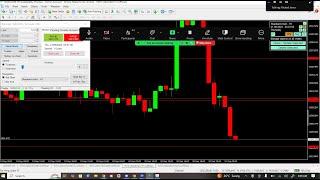 XAUUSD Backtesting, Soft4Fx Simulation, Price Action,