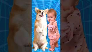 Super Cute Dog Dance (2)