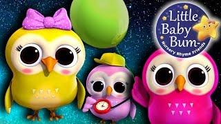 A Wise Old Owl | Nursery Rhymes for Babies by LittleBabyBum - ABCs and 123s