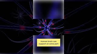 Human brain #shorts #human #science #technology #limitless #factophobia