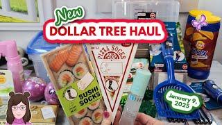 Awesome DOLLAR TREE HAUL!!  Fun Finds!! January 9, 2025