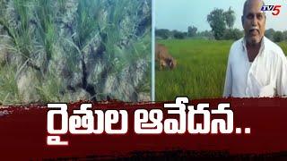 రైతుల ఆవేదన..| Farmers Protest in Janagama District | Telangana | TV5 News