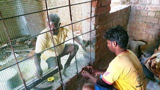 Chicken Mesh Cupboard_Bedroom Cupboard Bars Installation and Plastering with Cement mixing