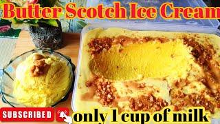 Homemade Butter Scotch Ice Cream/How to Make Butterscotch Ice Cream?