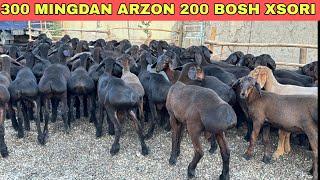 OPTOM JIYIDA 300 MINGDAN ARZONLADI