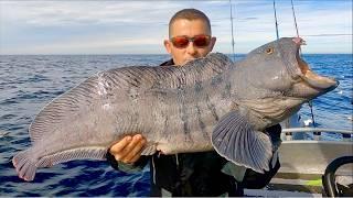 Mélytengeri horgászat az északi sarkkörön – hatalmas tőkehal, szénhal, farkashal és laposhal | A Fish Locker