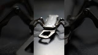 This Spider is Actually a Genius Tool!