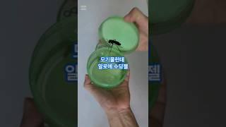 집에 하나 쯤 필수템!