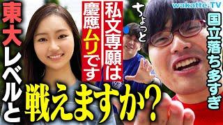 【警告】慶應って国立落ちのほうが多いんじゃね？これがリアル...私文終了か？【wakatte TV】#1073