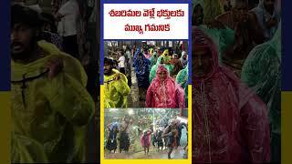 శబరిమల వెళ్లే భక్తులకు ముఖ్య గమనిక || Ktv Telugu #ktvtelugu