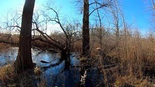 ⁴ᴷ⁶⁰ Walking NYC (Narrated) : Willow Lake at Flushing Meadows-Corona Park