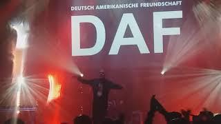 DAF - Der Mussolini Live in Łódź 25.10.2019 Klub Wytwórnia