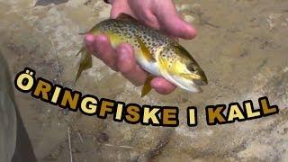 Kall - Öringsfiske  2012/08 - Baitbox