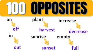 100 Opposite Words in English | Learn 100 Opposite Words in 10 minutes | ANTONYMS in ENGLISH