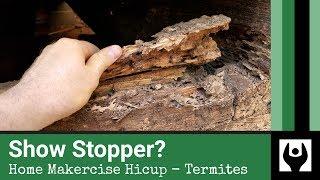 Show Stopper? Home Makercise Hicup - Termites!!!