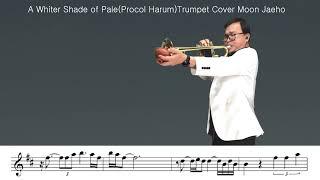 A Whiter Shade of Pale(Procol Harum)Trumpet Cover Moon Jaeho