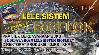 BUDIDAYA LELE SISTEM BIOFLOK ADAPTASI BUKU DIREKTORAT PRODUKSI DAN USAHA BUDIDAYA  #DJPB_KKP_2019