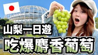 【日本旅遊vlog】山梨一日遊，整天都吃麝香葡萄好幸福️｜採麝香體驗｜笛吹川水果公園｜戀人聖地｜懷石料裡｜水果溫泉｜新日本三大夜景｜日本有個U1 YuiTube x