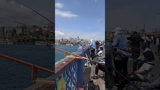 Fishing on the Galata Bridge in Istanbul #istanbul #istanbultourism #food #streetfood #travel