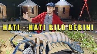 HATI   HATI BILO BEBINI - GURU BESAR | OFFICIAL MUSIC VIDEO