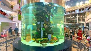 GVK One Mall:Fish Aquarium I iPhone 12 Mini I 4K Video