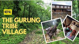 !!!Gurung village!!! The Nepalese tribe you haven't heard of