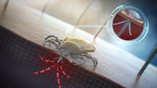 Atix – full CGI TV commercial.